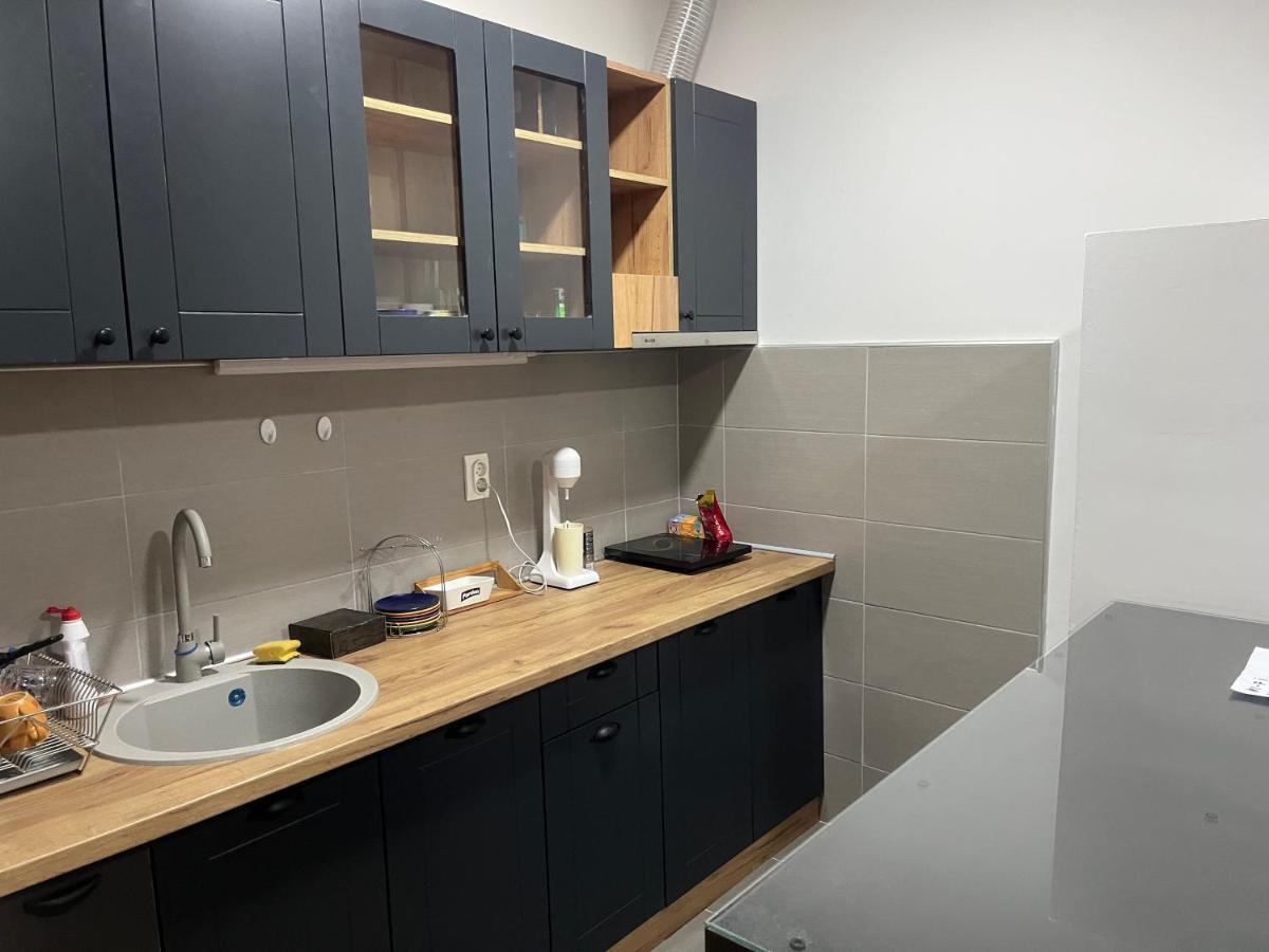 Apartamento Penthouse Užice Exterior foto